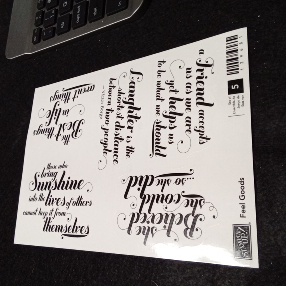 Stampin Up Feel Goods